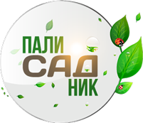 Главная